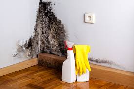 Mold Removal for HVAC Installations in Millsboro, DE